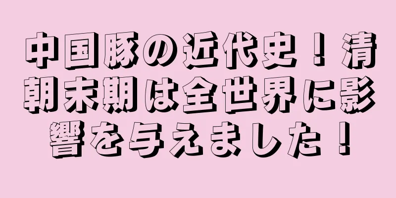 中国豚の近代史！清朝末期は全世界に影響を与えました！