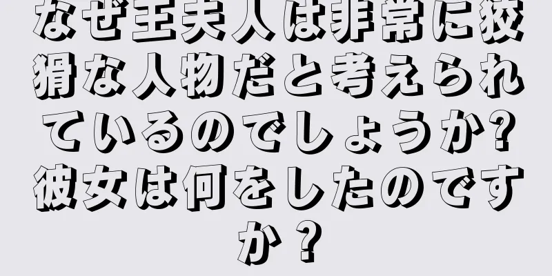 なぜ王夫人は非常に狡猾な人物だと考えられているのでしょうか?彼女は何をしたのですか？