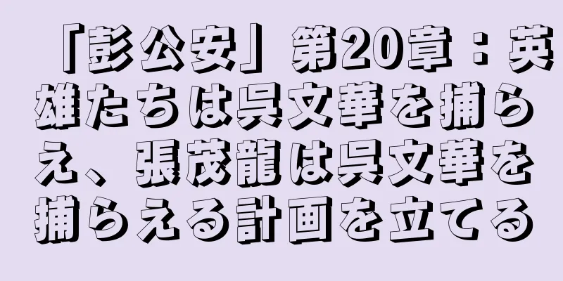「彭公安」第20章：英雄たちは呉文華を捕らえ、張茂龍は呉文華を捕らえる計画を立てる