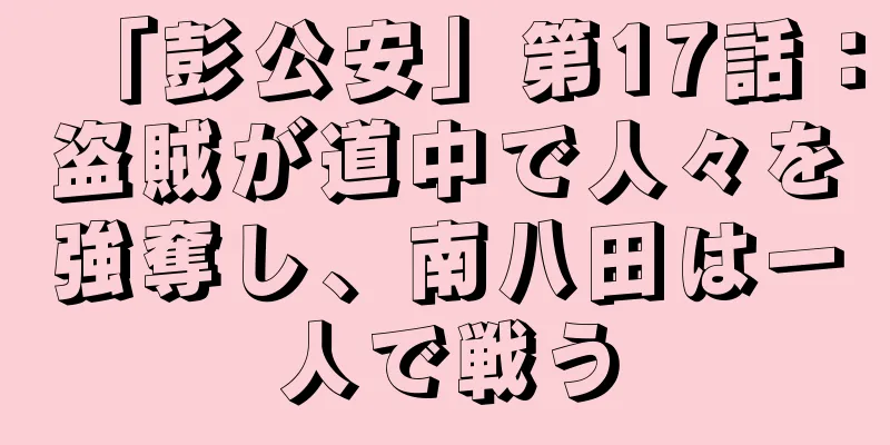 「彭公安」第17話：盗賊が道中で人々を強奪し、南八田は一人で戦う