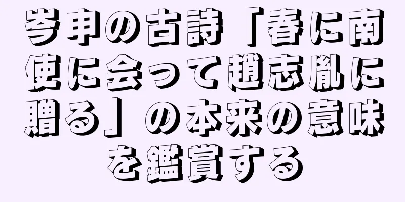 岑申の古詩「春に南使に会って趙志胤に贈る」の本来の意味を鑑賞する