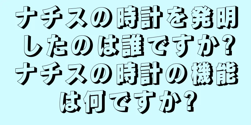 ナチスの時計を発明したのは誰ですか?ナチスの時計の機能は何ですか?