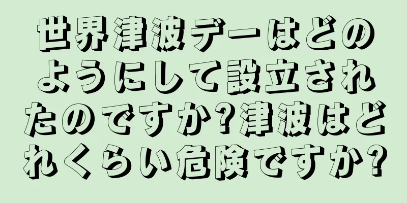 世界津波デーはどのようにして設立されたのですか?津波はどれくらい危険ですか?