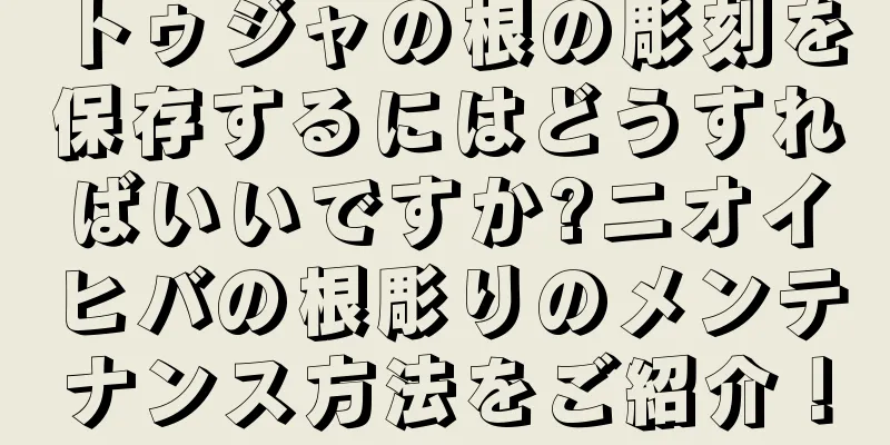 トゥジャの根の彫刻を保存するにはどうすればいいですか?ニオイヒバの根彫りのメンテナンス方法をご紹介！