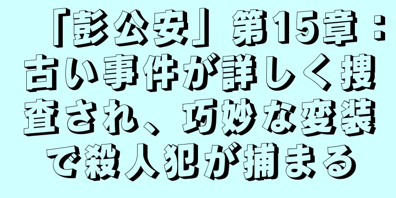 「彭公安」第15章：古い事件が詳しく捜査され、巧妙な変装で殺人犯が捕まる