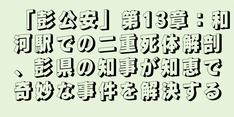 「彭公安」第13章：和河駅での二重死体解剖、彭県の知事が知恵で奇妙な事件を解決する