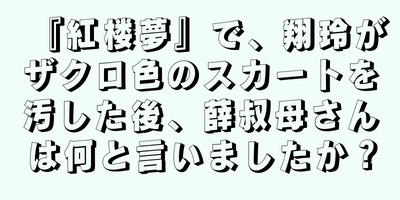 『紅楼夢』で、翔玲がザクロ色のスカートを汚した後、薛叔母さんは何と言いましたか？
