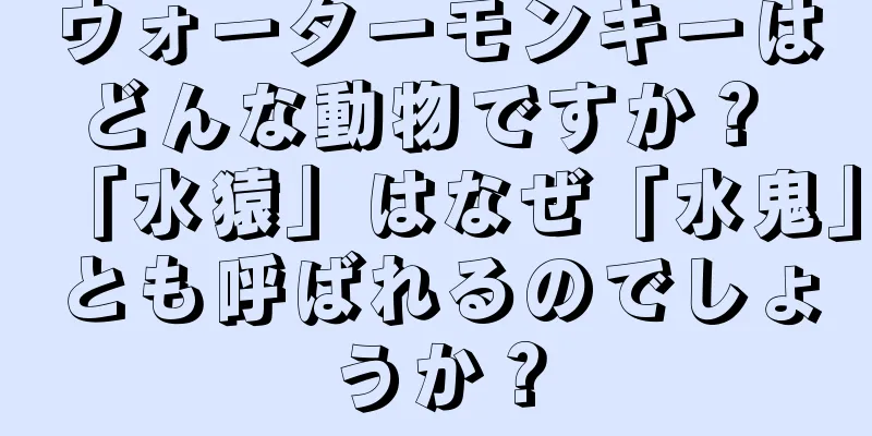 ウォーターモンキーはどんな動物ですか？ 「水猿」はなぜ「水鬼」とも呼ばれるのでしょうか？