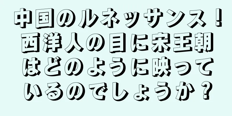 中国のルネッサンス！西洋人の目に宋王朝はどのように映っているのでしょうか？