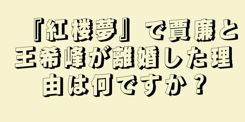 『紅楼夢』で賈廉と王希峰が離婚した理由は何ですか？
