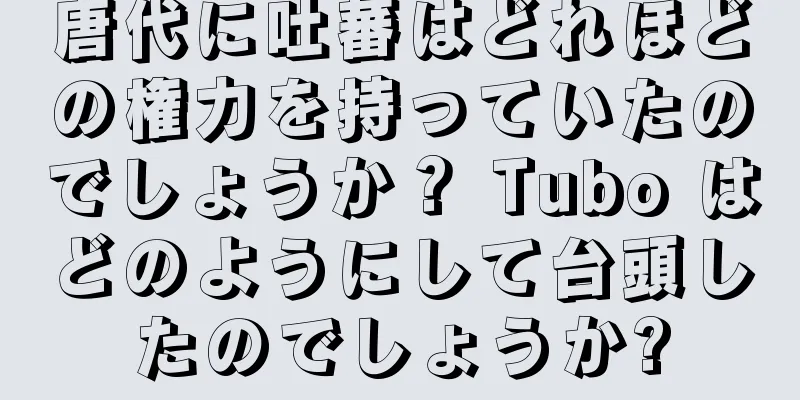 唐代に吐蕃はどれほどの権力を持っていたのでしょうか？ Tubo はどのようにして台頭したのでしょうか?