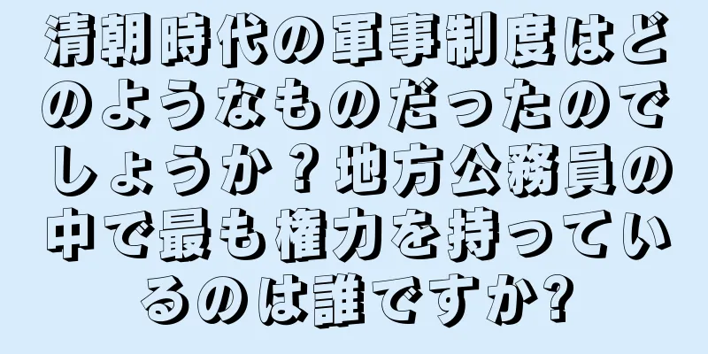 清朝時代の軍事制度はどのようなものだったのでしょうか？地方公務員の中で最も権力を持っているのは誰ですか?