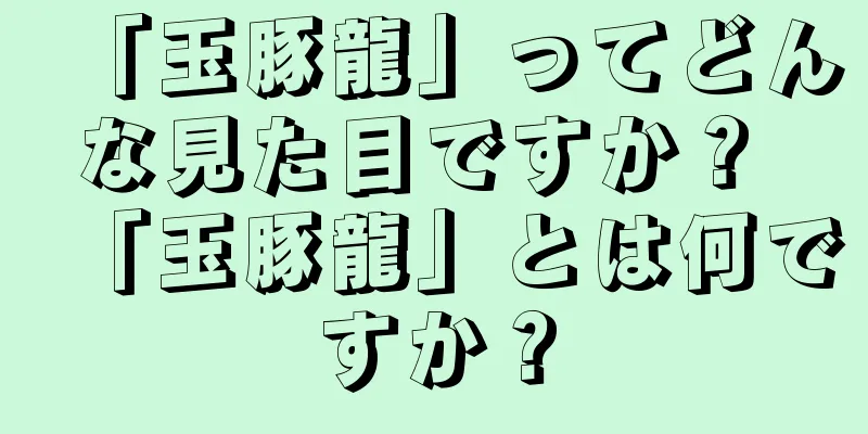 「玉豚龍」ってどんな見た目ですか？ 「玉豚龍」とは何ですか？