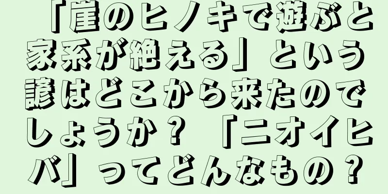 「崖のヒノキで遊ぶと家系が絶える」という諺はどこから来たのでしょうか？ 「ニオイヒバ」ってどんなもの？