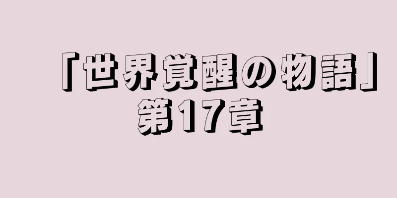 「世界覚醒の物語」第17章