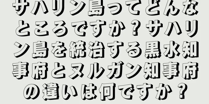 サハリン島ってどんなところですか？サハリン島を統治する黒水知事府とヌルガン知事府の違いは何ですか？
