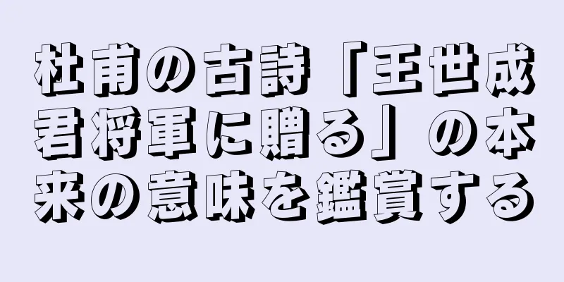 杜甫の古詩「王世成君将軍に贈る」の本来の意味を鑑賞する