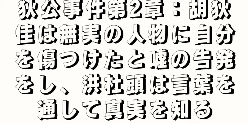 狄公事件第2章：胡狄佳は無実の人物に自分を傷つけたと嘘の告発をし、洪杜頭は言葉を通して真実を知る