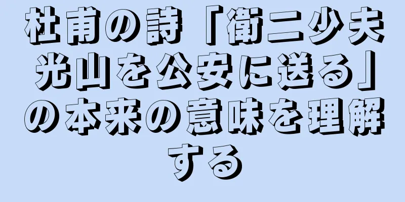 杜甫の詩「衛二少夫光山を公安に送る」の本来の意味を理解する