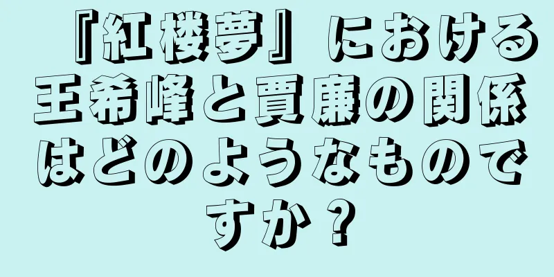 『紅楼夢』における王希峰と賈廉の関係はどのようなものですか？