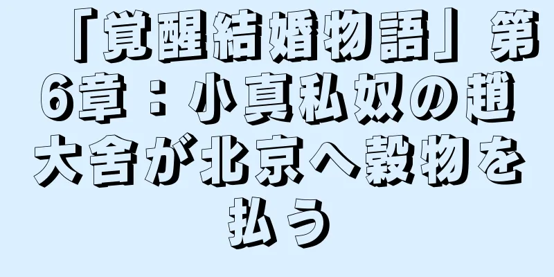 「覚醒結婚物語」第6章：小真私奴の趙大舍が北京へ穀物を払う