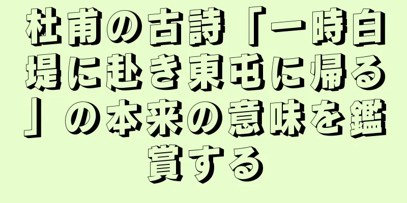 杜甫の古詩「一時白堤に赴き東屯に帰る」の本来の意味を鑑賞する