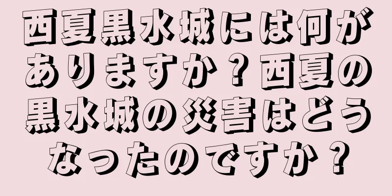 西夏黒水城には何がありますか？西夏の黒水城の災害はどうなったのですか？