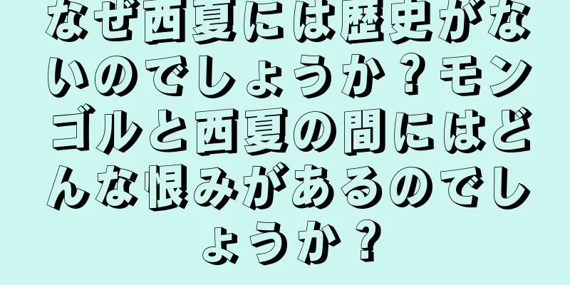 なぜ西夏には歴史がないのでしょうか？モンゴルと西夏の間にはどんな恨みがあるのでしょうか？