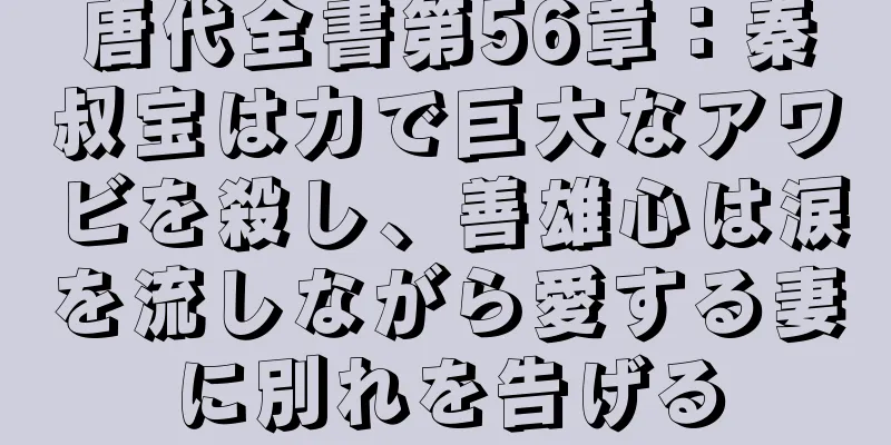 唐代全書第56章：秦叔宝は力で巨大なアワビを殺し、善雄心は涙を流しながら愛する妻に別れを告げる