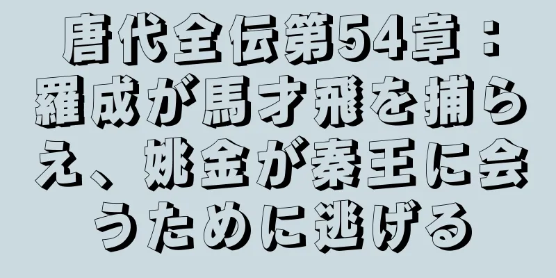 唐代全伝第54章：羅成が馬才飛を捕らえ、姚金が秦王に会うために逃げる