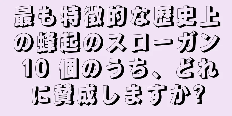 最も特徴的な歴史上の蜂起のスローガン 10 個のうち、どれに賛成しますか?