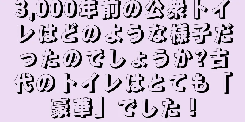 3,000年前の公衆トイレはどのような様子だったのでしょうか?古代のトイレはとても「豪華」でした！