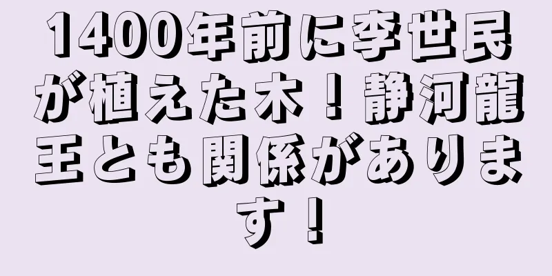 1400年前に李世民が植えた木！静河龍王とも関係があります！