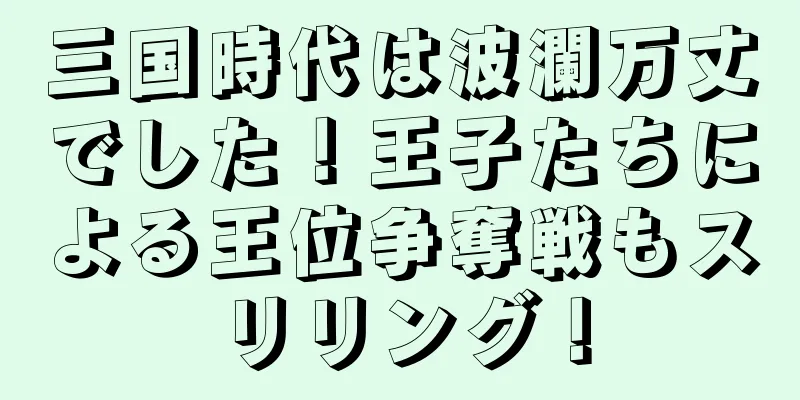 三国時代は波瀾万丈でした！王子たちによる王位争奪戦もスリリング！