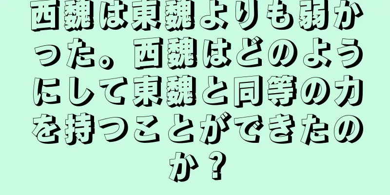 西魏は東魏よりも弱かった。西魏はどのようにして東魏と同等の力を持つことができたのか？