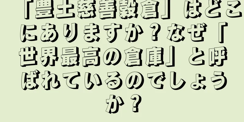 「豊土慈善穀倉」はどこにありますか？なぜ「世界最高の倉庫」と呼ばれているのでしょうか？