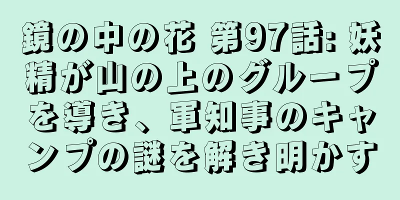 鏡の中の花 第97話: 妖精が山の上のグループを導き、軍知事のキャンプの謎を解き明かす