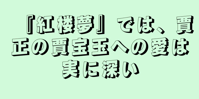 『紅楼夢』では、賈正の賈宝玉への愛は実に深い
