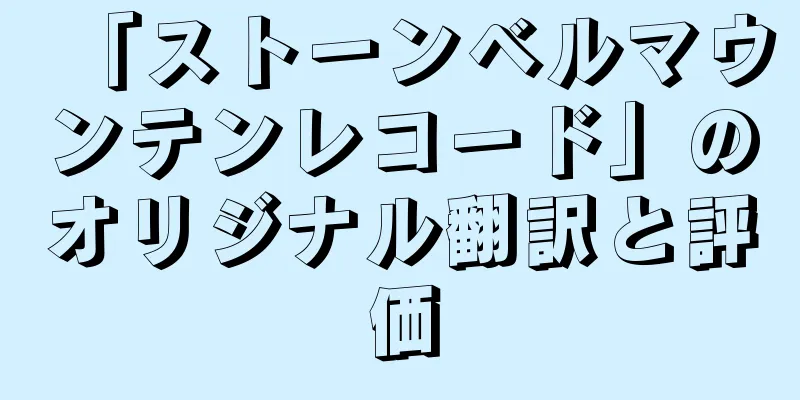 「ストーンベルマウンテンレコード」のオリジナル翻訳と評価