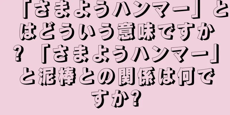 「さまようハンマー」とはどういう意味ですか? 「さまようハンマー」と泥棒との関係は何ですか?