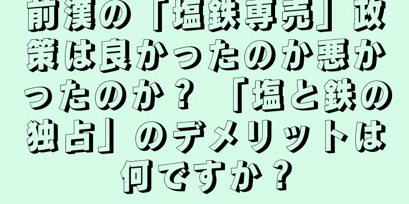 前漢の「塩鉄専売」政策は良かったのか悪かったのか？ 「塩と鉄の独占」のデメリットは何ですか？