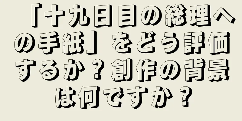 「十九日目の総理への手紙」をどう評価するか？創作の背景は何ですか？