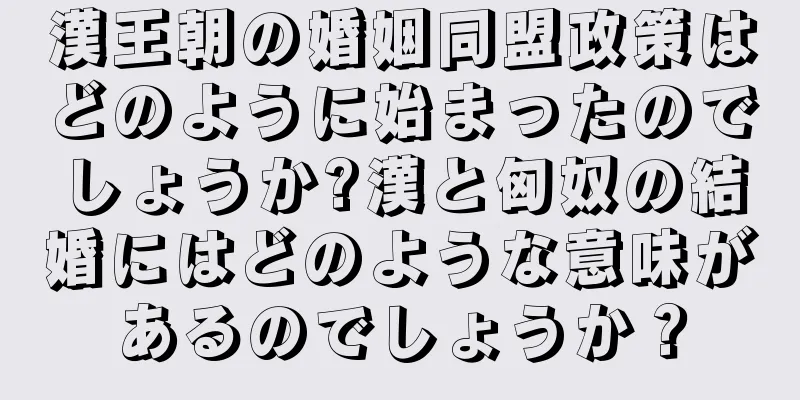 漢王朝の婚姻同盟政策はどのように始まったのでしょうか?漢と匈奴の結婚にはどのような意味があるのでしょうか？