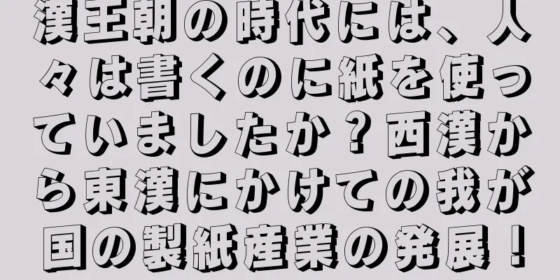 漢王朝の時代には、人々は書くのに紙を使っていましたか？西漢から東漢にかけての我が国の製紙産業の発展！
