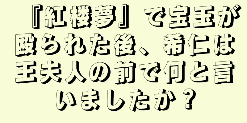 『紅楼夢』で宝玉が殴られた後、希仁は王夫人の前で何と言いましたか？