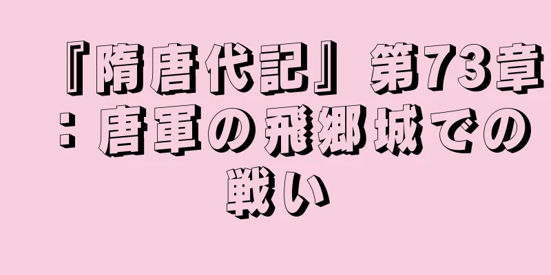 『隋唐代記』第73章：唐軍の飛郷城での戦い