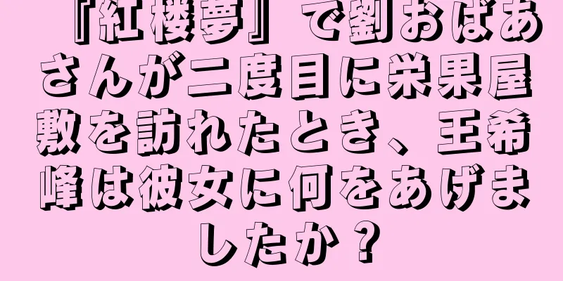 『紅楼夢』で劉おばあさんが二度目に栄果屋敷を訪れたとき、王希峰は彼女に何をあげましたか？