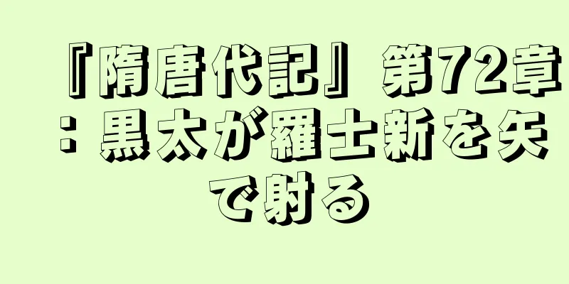 『隋唐代記』第72章：黒太が羅士新を矢で射る