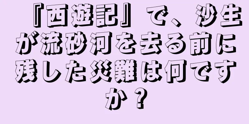 『西遊記』で、沙生が流砂河を去る前に残した災難は何ですか？