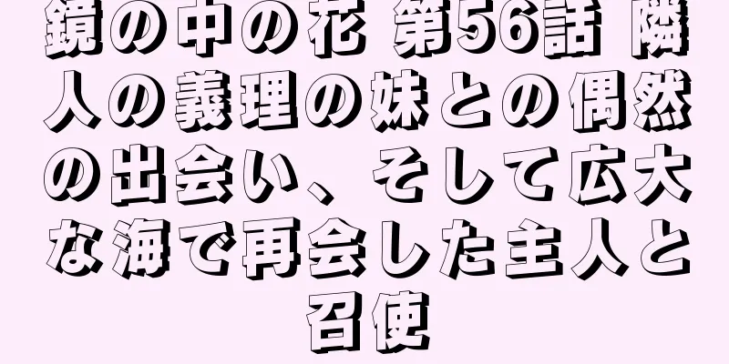 鏡の中の花 第56話 隣人の義理の妹との偶然の出会い、そして広大な海で再会した主人と召使